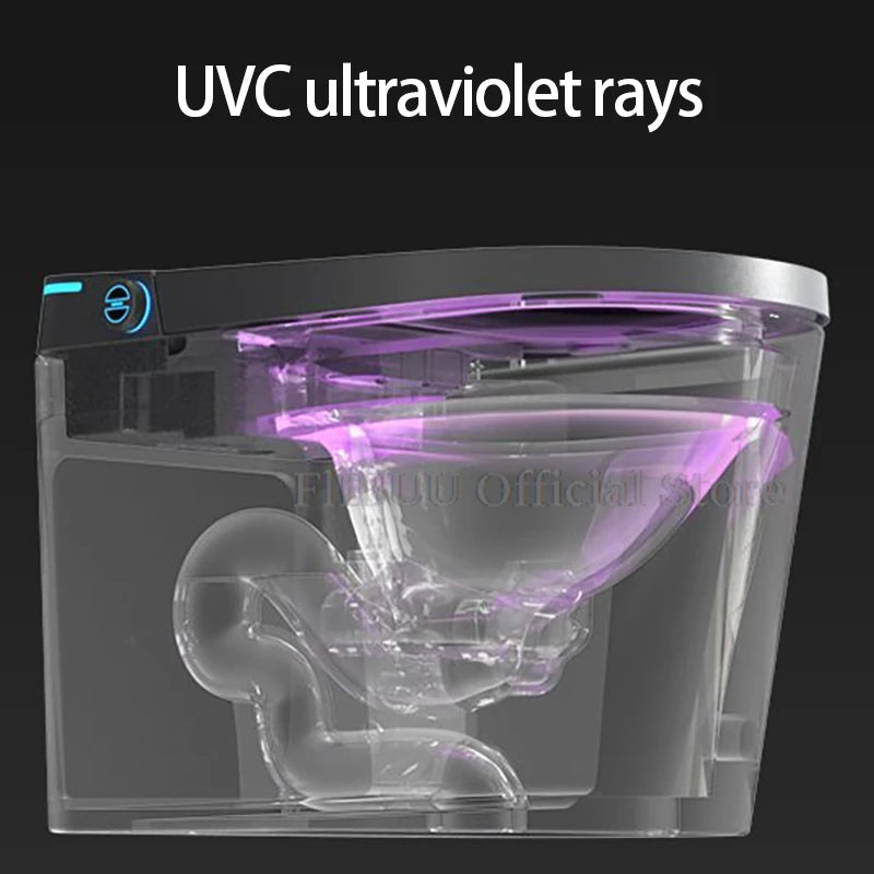 Elongated Smart One-Piece Bidet Toilet with Built-in Tank, Warm Water, Heated Seat & LCD Display